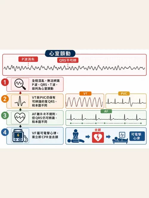 呼吸治療師 - 心血管評估與實驗室檢查 - AI 圖文解析預覽