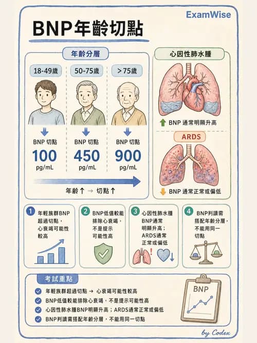 呼吸治療師 - 氣體輸送系統與氧氣治療 - AI 圖文解析預覽