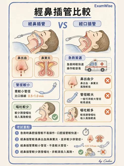 呼吸治療師 - 呼吸道照護與抽痰設備 - AI 圖文解析預覽
