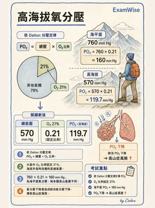 呼吸治療師 - 氣體物理學 - AI 圖文解析預覽