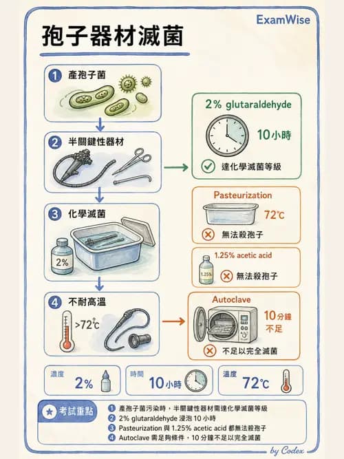 呼吸治療師 - 呼吸照護設備消毒 - AI 圖文解析預覽