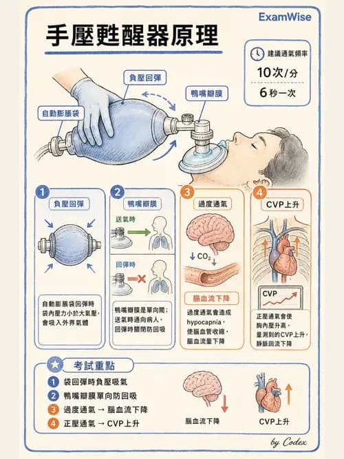呼吸治療師 - 甦醒器設備 - AI 圖文解析預覽