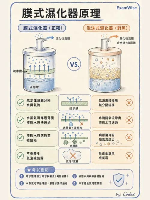 呼吸治療師 - 濕氣治療設備 - AI 圖文解析預覽
