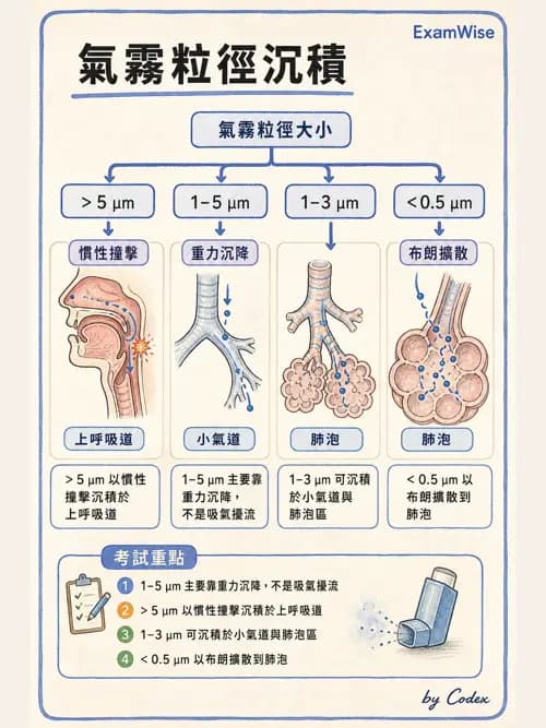 呼吸治療師 - 吸入性藥物噴霧設備 - AI 圖文解析預覽