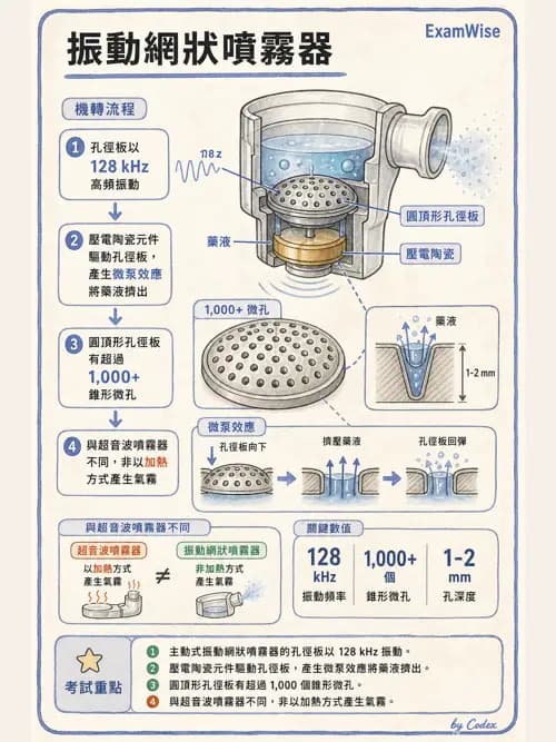 呼吸治療師 - 吸入性藥物噴霧設備 - AI 圖文解析預覽