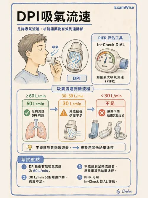 呼吸治療師 - 吸入性藥物噴霧設備 - AI 圖文解析預覽