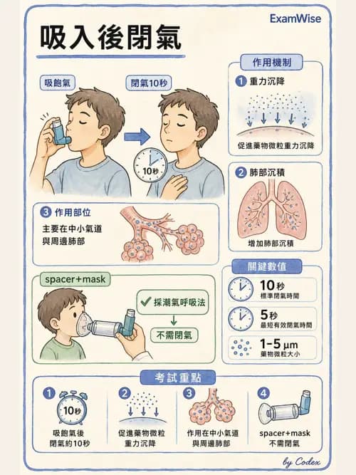 呼吸治療師 - 吸入性藥物噴霧設備 - AI 圖文解析預覽
