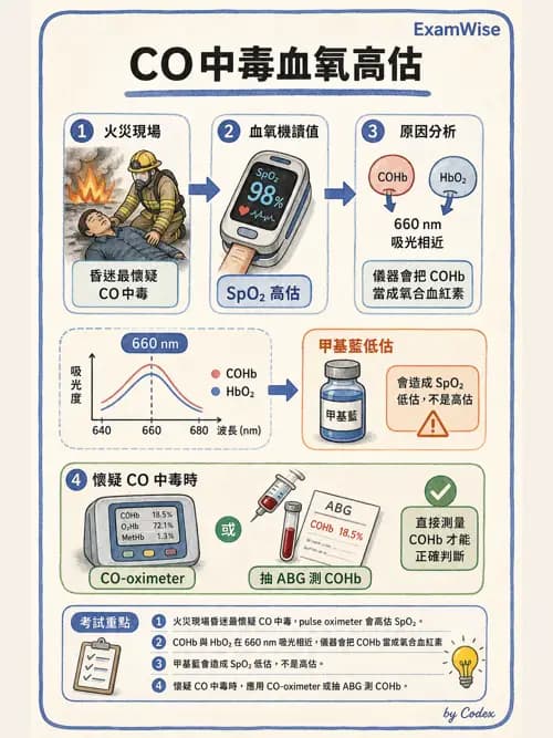 呼吸治療師 - 非侵入性呼吸監測設備 - AI 圖文解析預覽