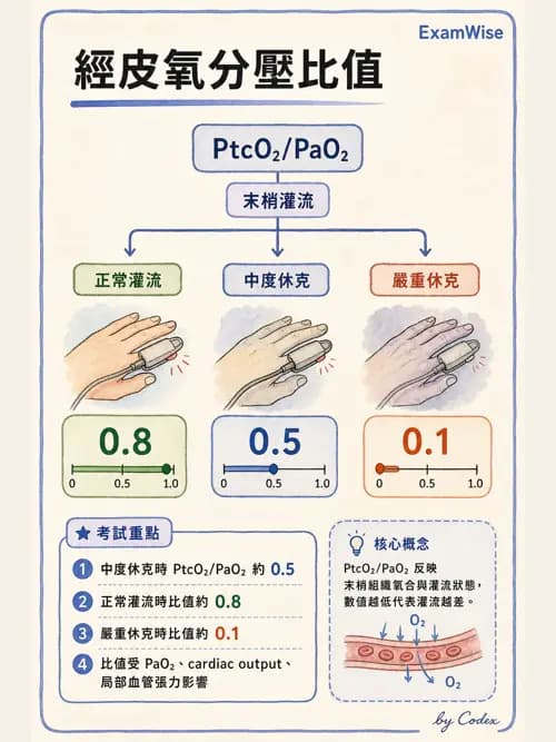呼吸治療師 - 非侵入性呼吸監測設備 - AI 圖文解析預覽