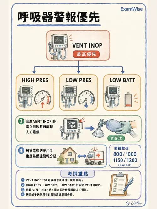 呼吸治療師 - 非侵襲性與居家通氣 - AI 圖文解析預覽