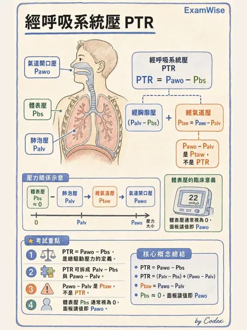 呼吸治療師 - 機械通氣生理 - AI 圖文解析預覽