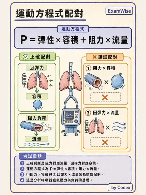 呼吸治療師 - 機械通氣生理 - AI 圖文解析預覽