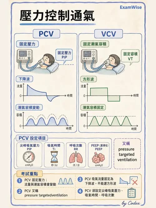 呼吸治療師 - 呼吸器設計與通氣模式 - AI 圖文解析預覽