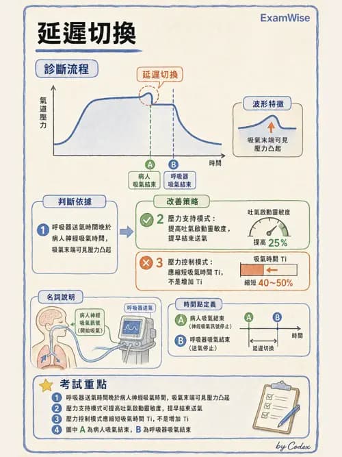 呼吸治療師 - 呼吸器監測與評估 - AI 圖文解析預覽