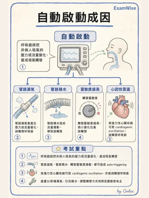 呼吸治療師 - 呼吸器圖形判讀與故障排除 - AI 圖文解析預覽