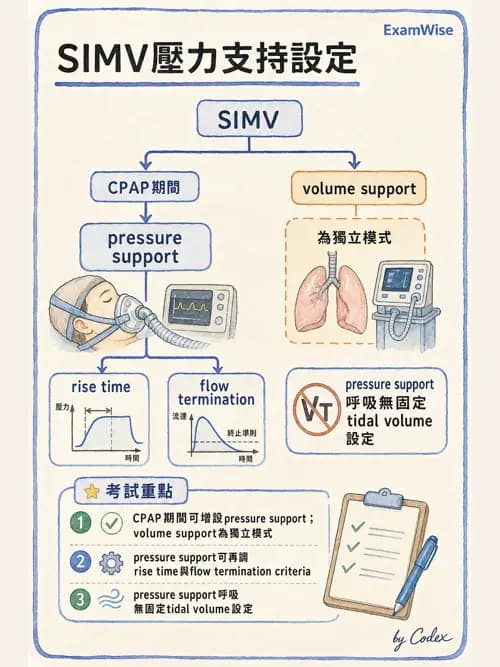 呼吸治療師 - 呼吸器設計與通氣模式 - AI 圖文解析預覽