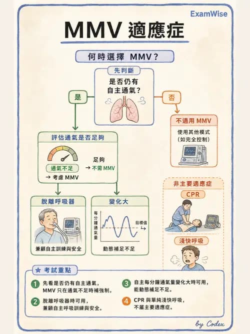呼吸治療師 - 呼吸器設計與通氣模式 - AI 圖文解析預覽