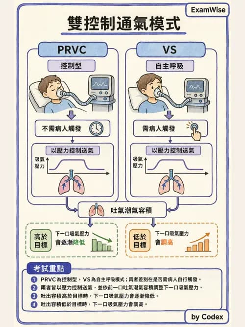 呼吸治療師 - 呼吸器設計與通氣模式 - AI 圖文解析預覽