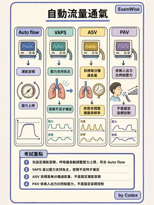 呼吸治療師 - 呼吸器設計與通氣模式 - AI 圖文解析預覽