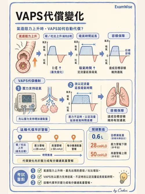 呼吸治療師 - 呼吸器設計與通氣模式 - AI 圖文解析預覽