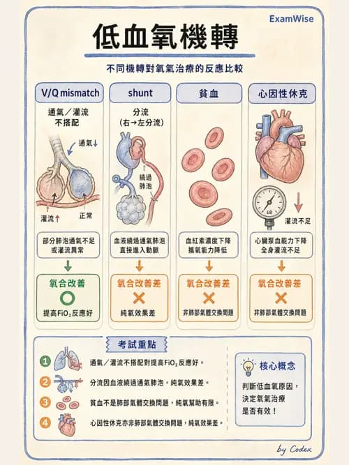 呼吸治療師 - 臨床設定、參數調整與脫離 - AI 圖文解析預覽