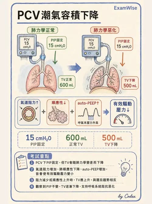 呼吸治療師 - 臨床設定、參數調整與脫離 - AI 圖文解析預覽