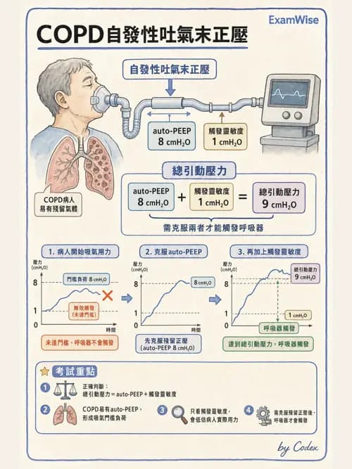 呼吸治療師 - 臨床設定、參數調整與脫離 - AI 圖文解析預覽