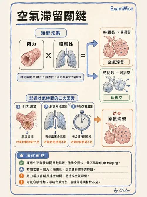 呼吸治療師 - 正壓通氣生理影響與合併症 - AI 圖文解析預覽