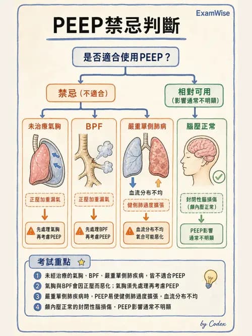 呼吸治療師 - 正壓通氣生理影響與合併症 - AI 圖文解析預覽