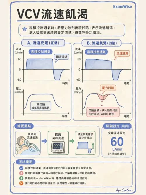 呼吸治療師 - 呼吸器圖形判讀與故障排除 - AI 圖文解析預覽