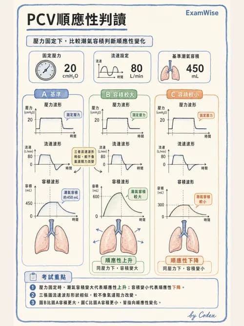 呼吸治療師 - 呼吸器圖形判讀與故障排除 - AI 圖文解析預覽