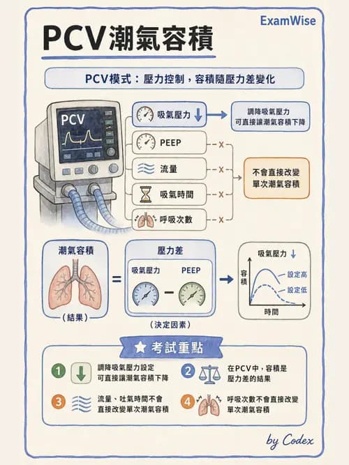 呼吸治療師 - 呼吸器圖形判讀與故障排除 - AI 圖文解析預覽