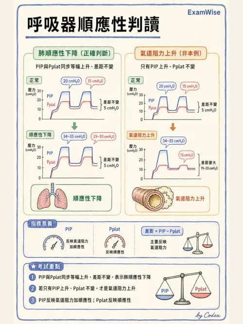 呼吸治療師 - 呼吸器圖形判讀與故障排除 - AI 圖文解析預覽