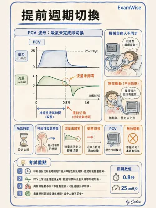 呼吸治療師 - 呼吸器圖形判讀與故障排除 - AI 圖文解析預覽