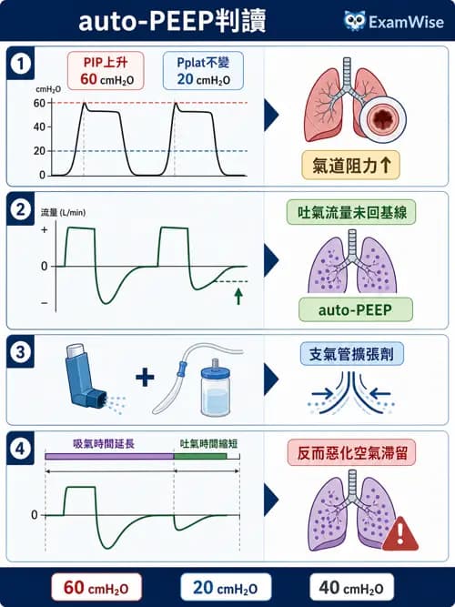 呼吸治療師 - 呼吸器圖形判讀與故障排除 - AI 圖文解析預覽