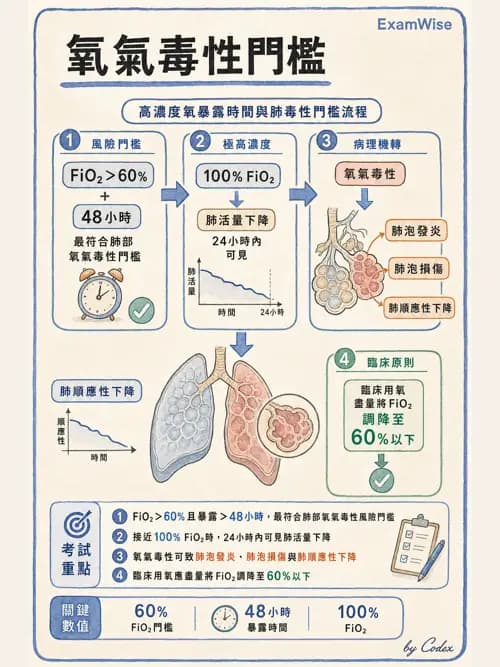 呼吸治療師 - 正壓通氣生理影響與合併症 - AI 圖文解析預覽