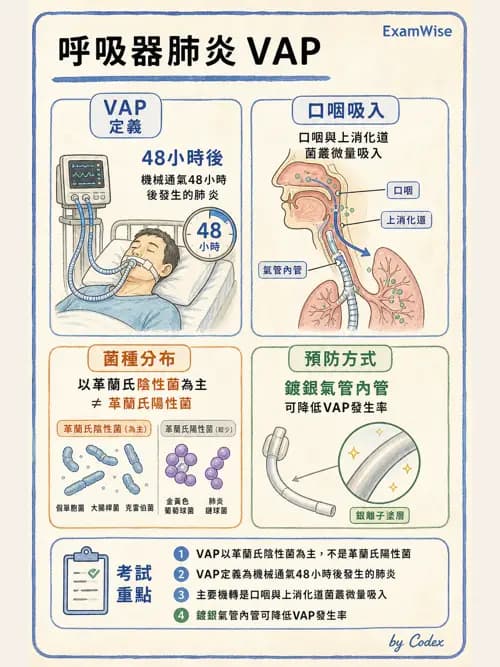 呼吸治療師 - 正壓通氣生理影響與合併症 - AI 圖文解析預覽