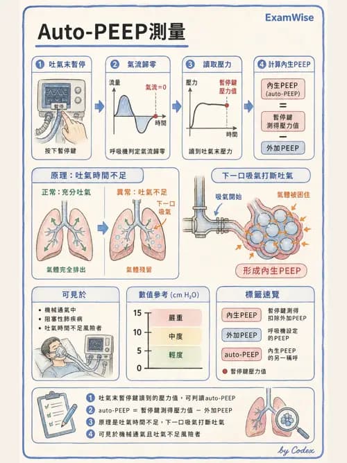 呼吸治療師 - 呼吸器圖形判讀與故障排除 - AI 圖文解析預覽