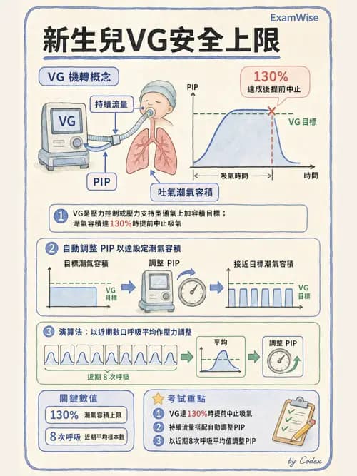 呼吸治療師 - 小兒呼吸器支持 - AI 圖文解析預覽
