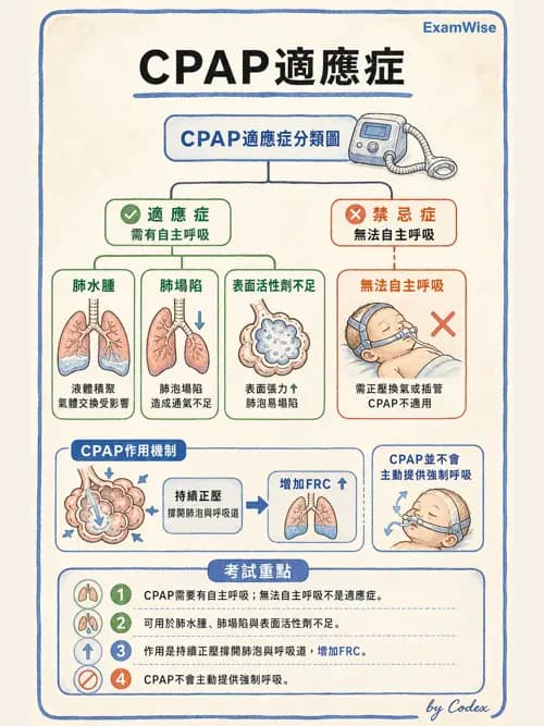 呼吸治療師 - 小兒呼吸器支持 - AI 圖文解析預覽