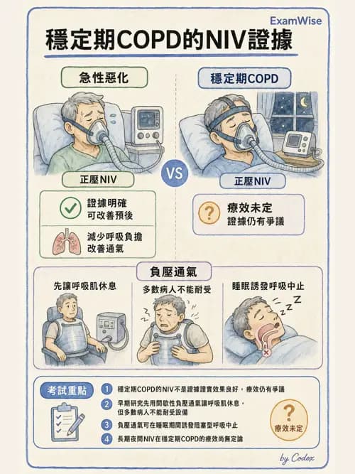 呼吸治療師 - 非侵襲性與居家通氣 - AI 圖文解析預覽
