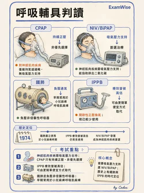 呼吸治療師 - 非侵襲性與居家通氣 - AI 圖文解析預覽