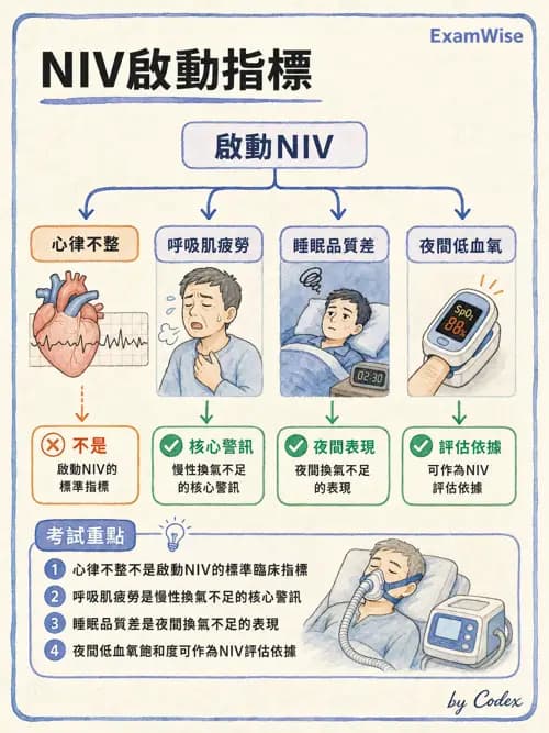 呼吸治療師 - 非侵襲性與居家通氣 - AI 圖文解析預覽