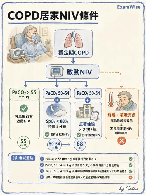呼吸治療師 - 非侵襲性與居家通氣 - AI 圖文解析預覽