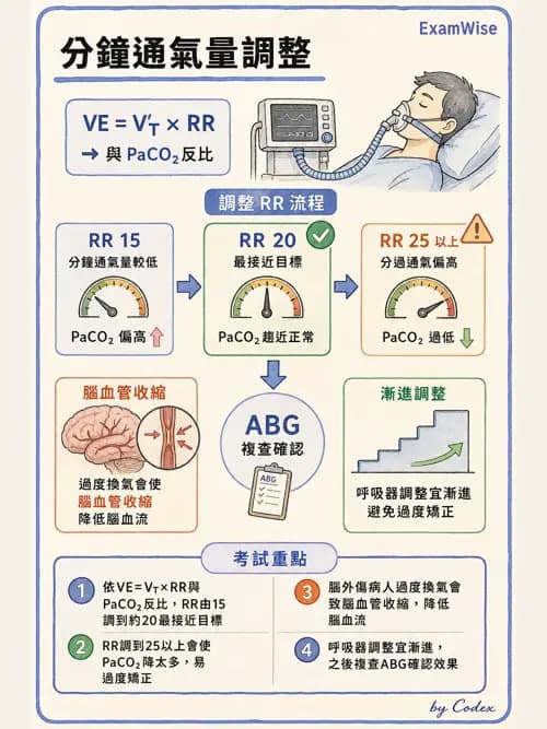 呼吸治療師 - 術後與其他呼吸重症 - AI 圖文解析預覽