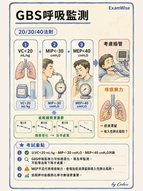 呼吸治療師 - 術後與其他呼吸重症 - AI 圖文解析預覽