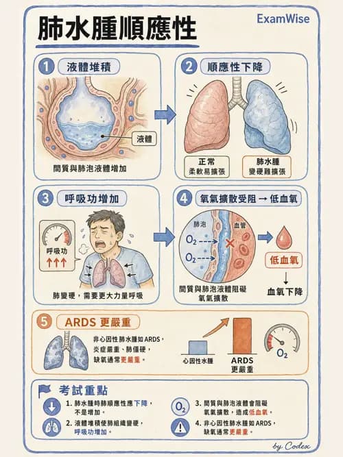呼吸治療師 - ARDS與呼吸衰竭 - AI 圖文解析預覽