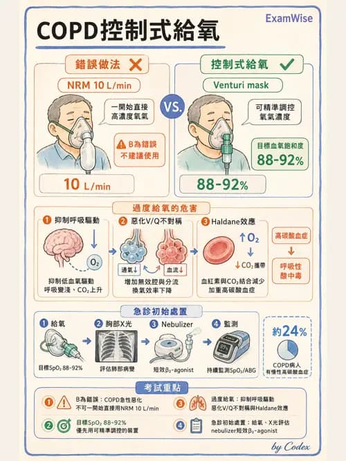 呼吸治療師 - 心臟疾病與COPD重症 - AI 圖文解析預覽