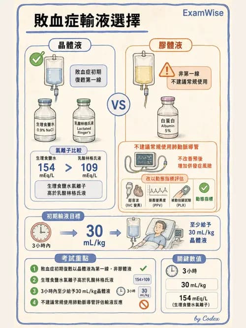 呼吸治療師 - 休克、敗血症與多器官衰竭 - AI 圖文解析預覽
