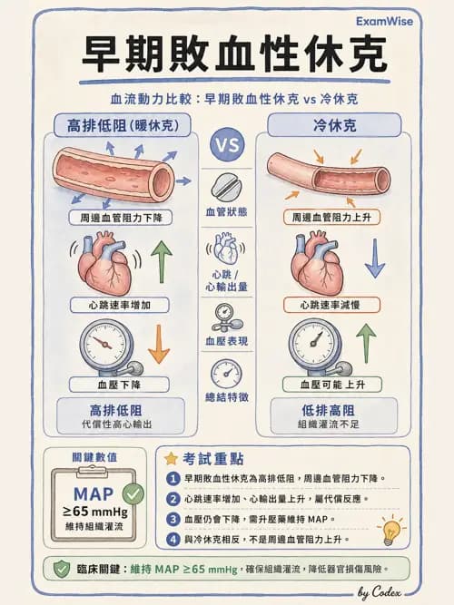 呼吸治療師 - 休克、敗血症與多器官衰竭 - AI 圖文解析預覽